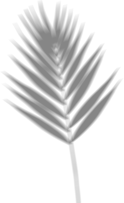 Blurred Small Palm Shadow